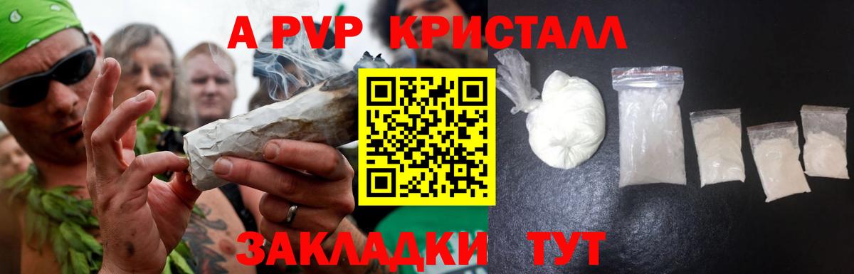 Новозыбков  где купить наркоту  Вход с VPN  Alpha PVP мука  А ПВП СК КРИС 