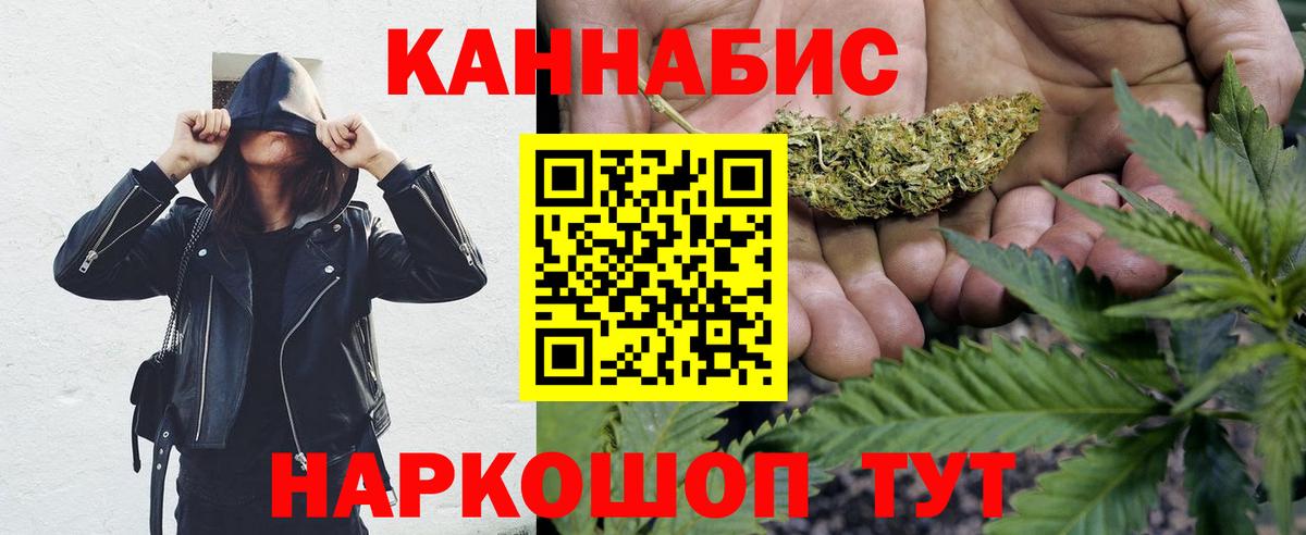 Бошки Шишки ГИДРОПОН  Канабис семена  Конопля Amnesia  МАРИХУАНА сатива  Новозыбков  Вход с VPN 